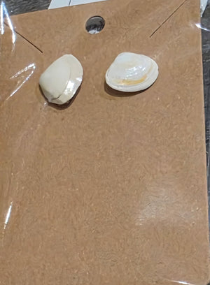 Tiny clam shell Studs by Tonya Arnold