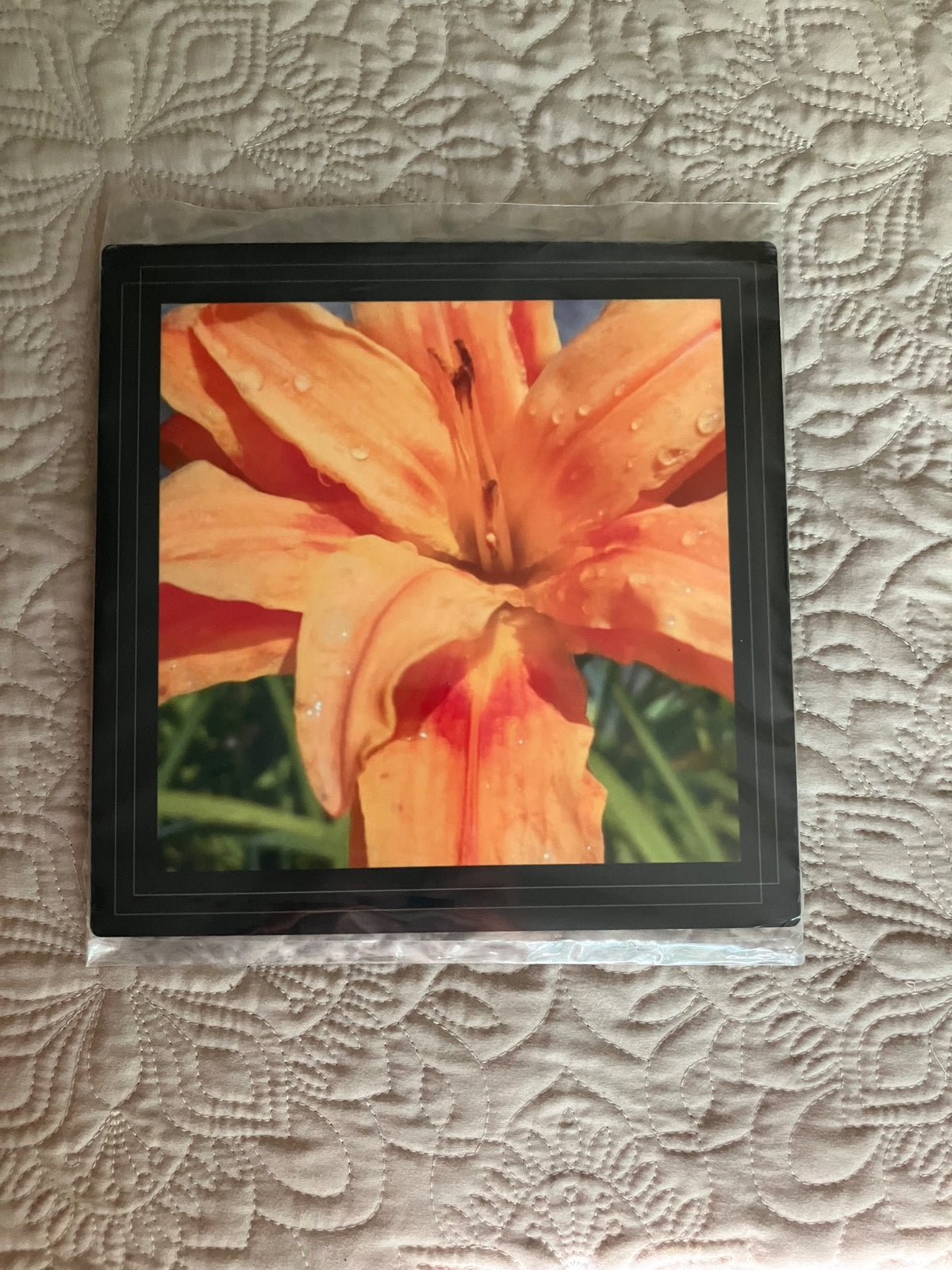Original/durable - wet lily by Tonya Arnold