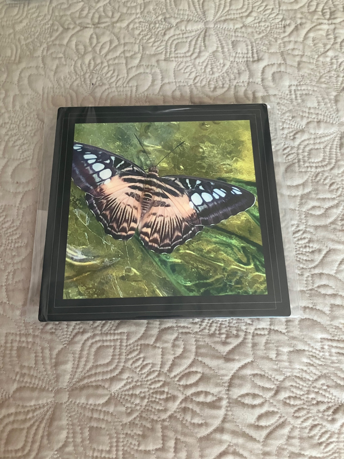 Original/durable- monarch by Tonya Arnold