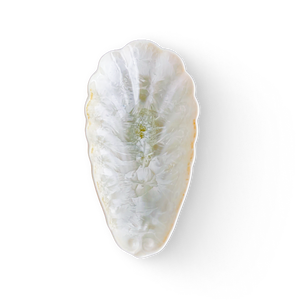 Little Shell by Edgecomb Potters