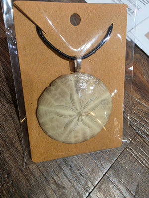 Sand dollar necklace black cord by Tonya Arnold