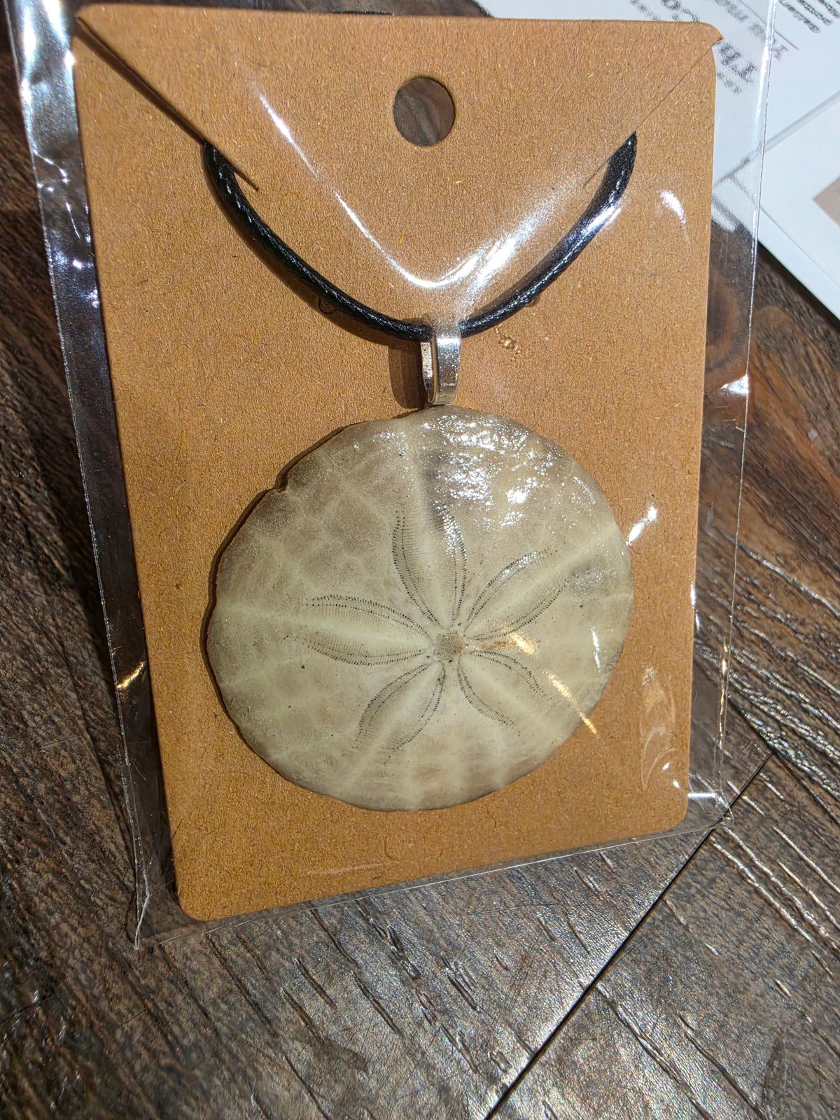 Sand dollar necklace black cord by Tonya Arnold