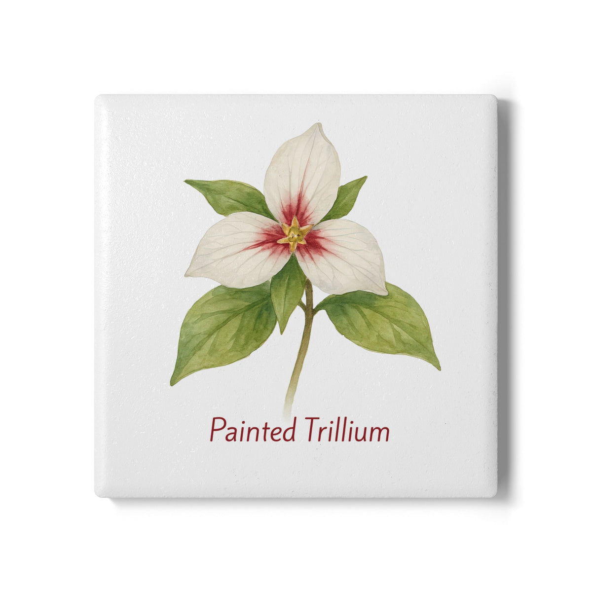 Painted Trillium Art Coaster by Printify