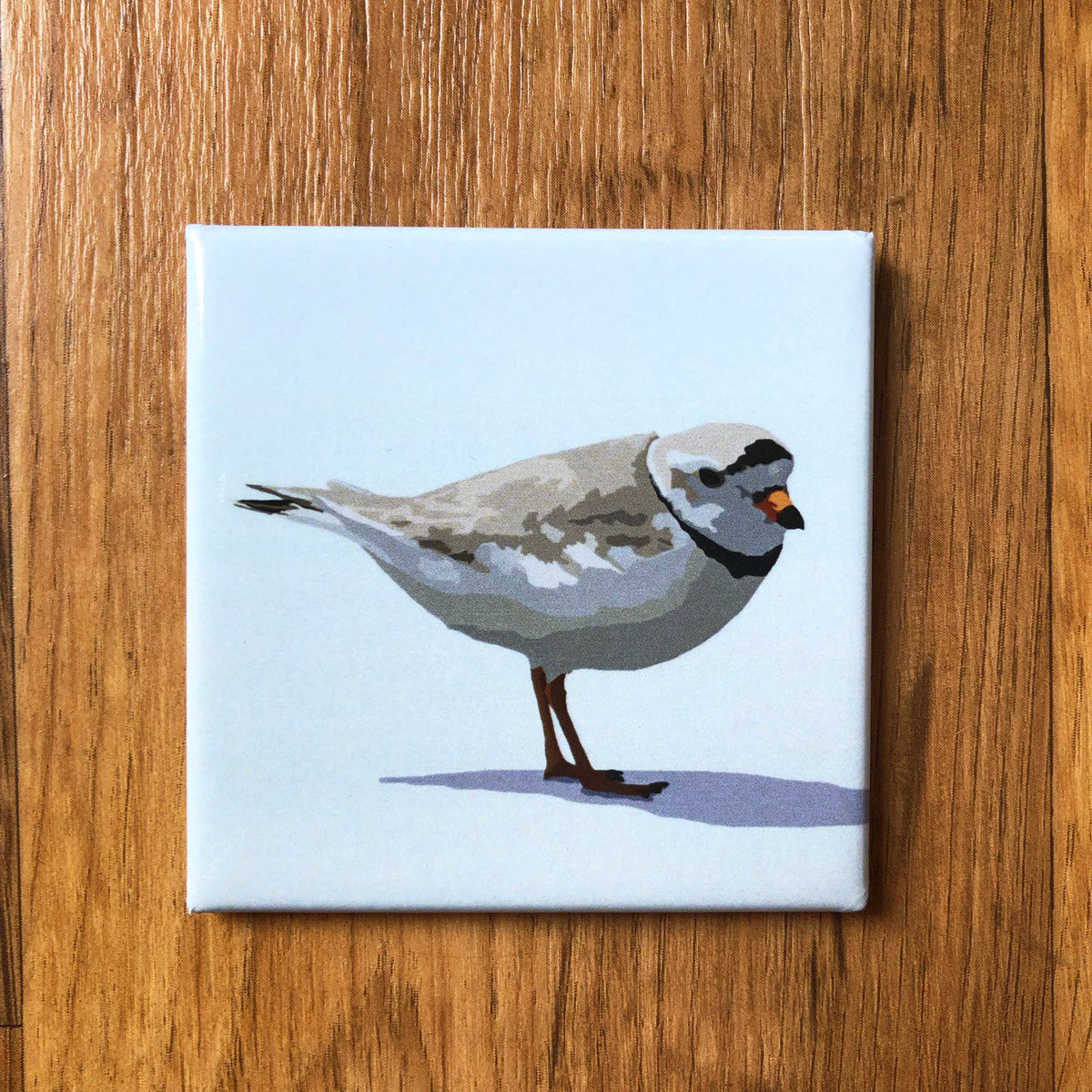 Piping Plover Acrylic Magnet by Lehoux Art