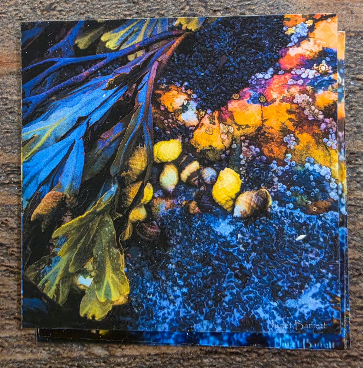 JL 2" magnet design images AC by Janet Lang