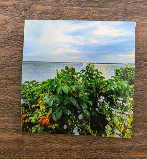 JL 2" magnet design images AC by Janet Lang