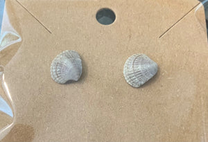 Tiny clam shell earings by Tonya Arnold
