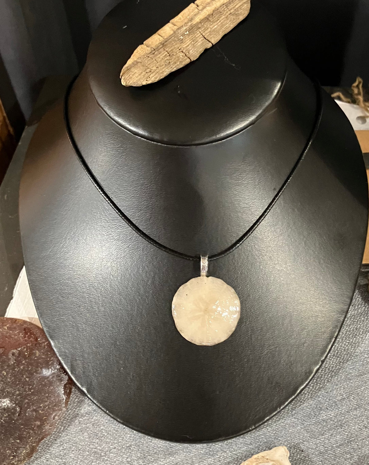Sand dollar necklace black cord by Tonya Arnold
