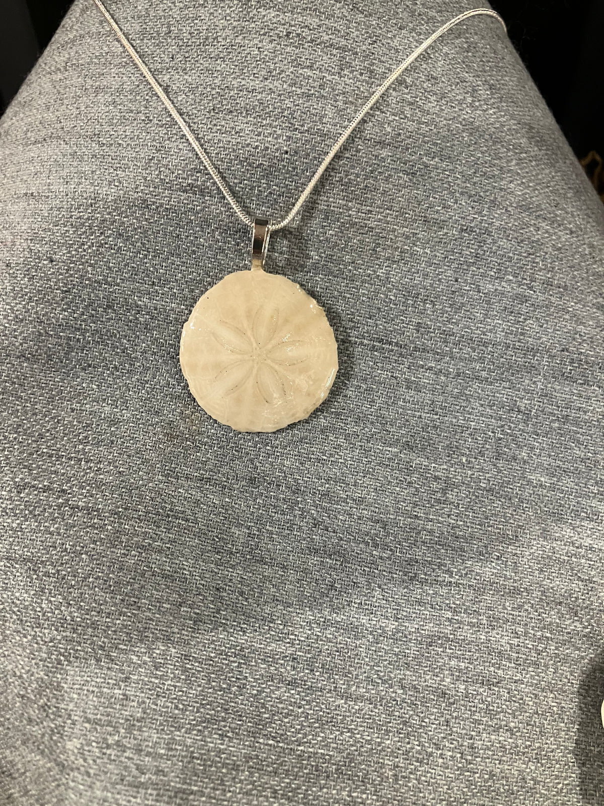 Sand dollar necklace on silver cord- off white by Tonya Arnold