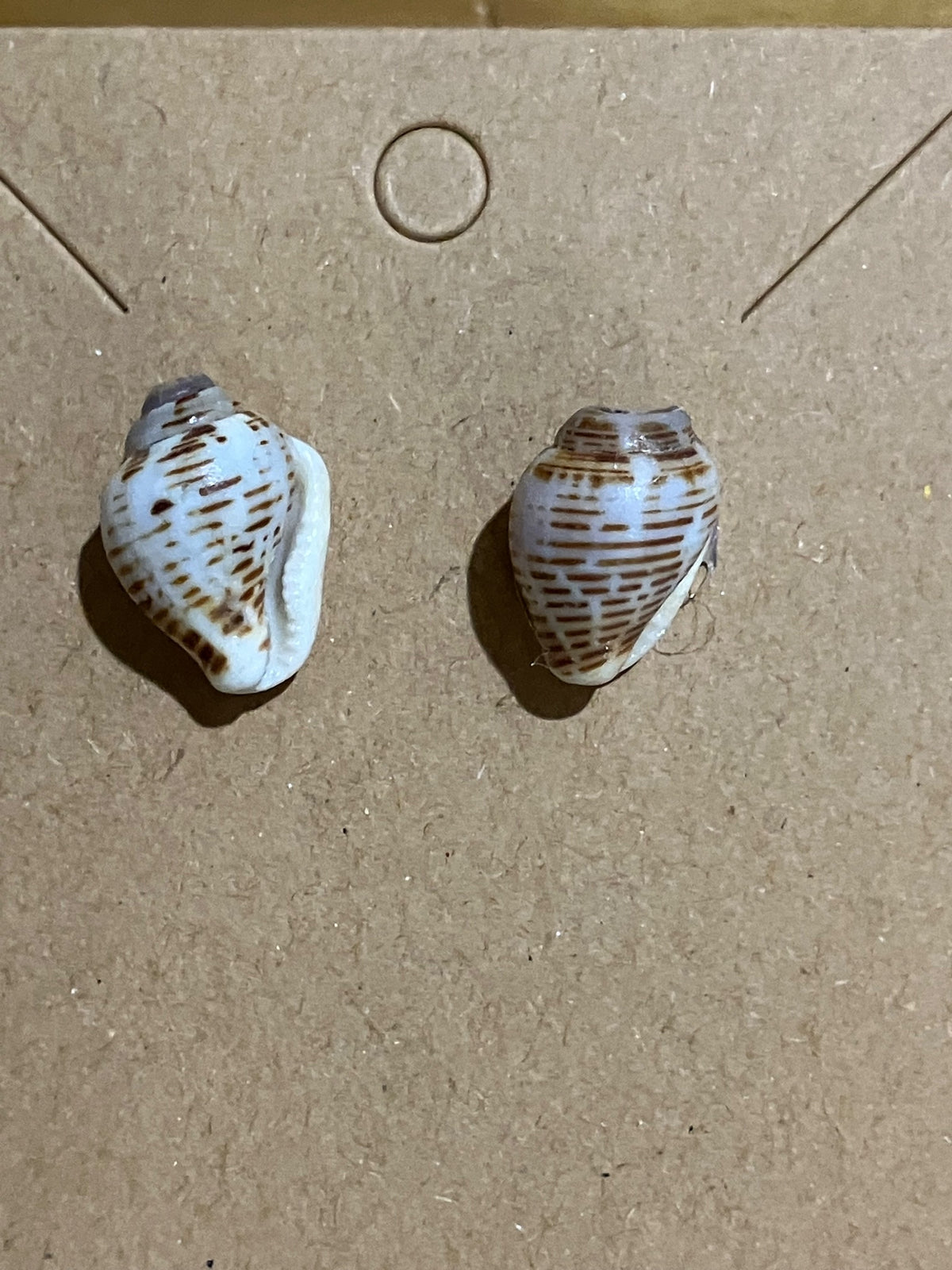 Small snail studs by Tonya Arnold