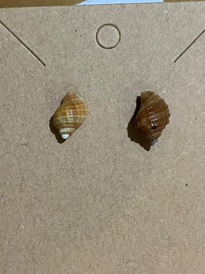 Tiny snail studs by Tonya Arnold
