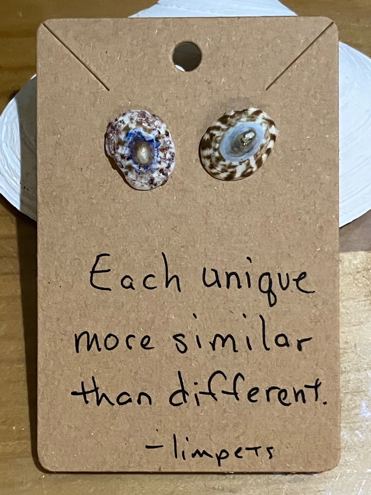 Limpet studs by Tonya Arnold