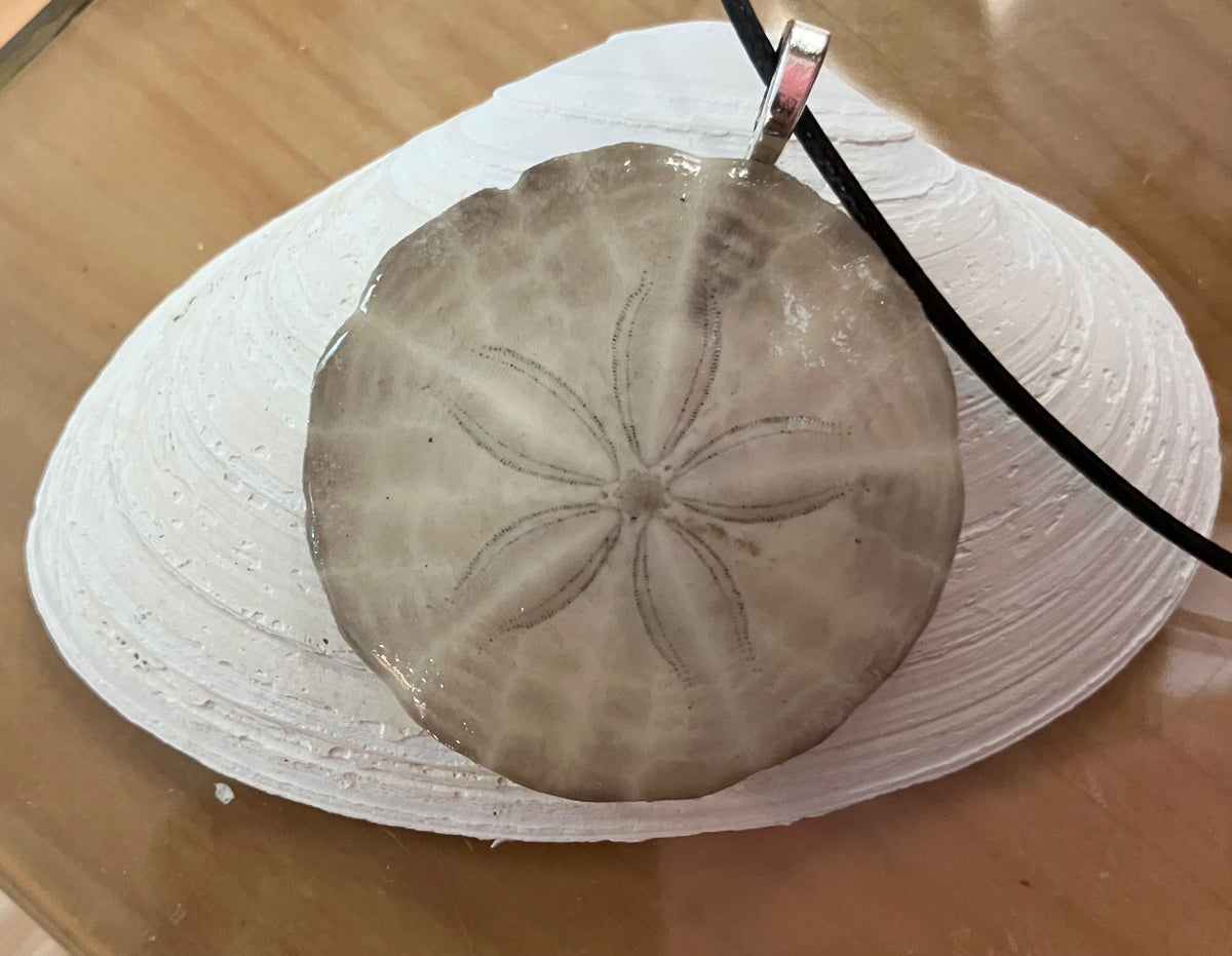 Sand dollar necklace on black cird by Tonya Arnold