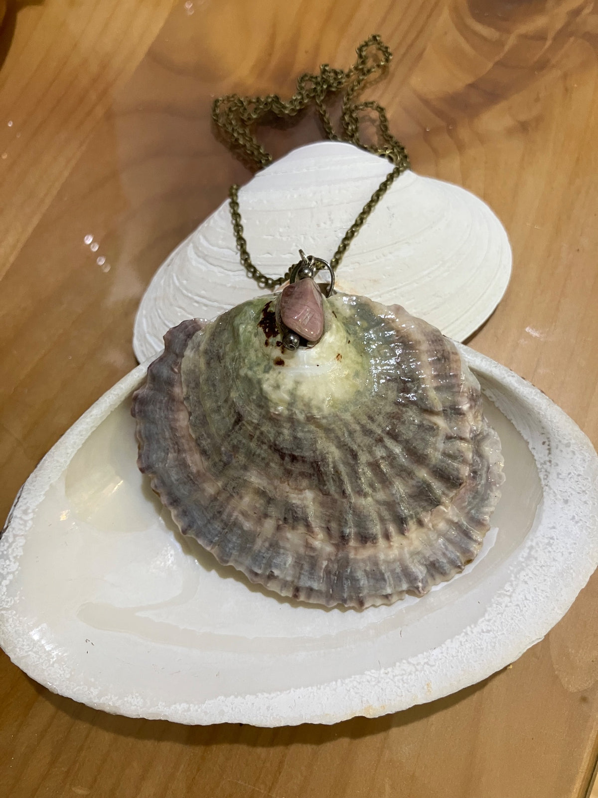 Necklace Rainbow Oyster by Tonya Arnold