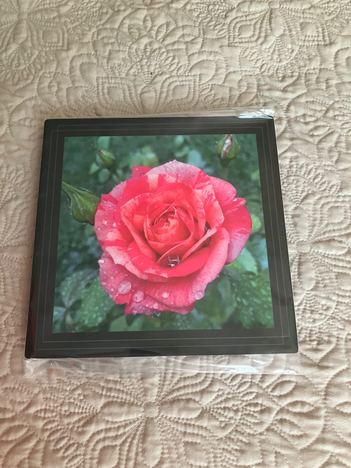 Original/durable-rose w/greenery by Tonya Arnold