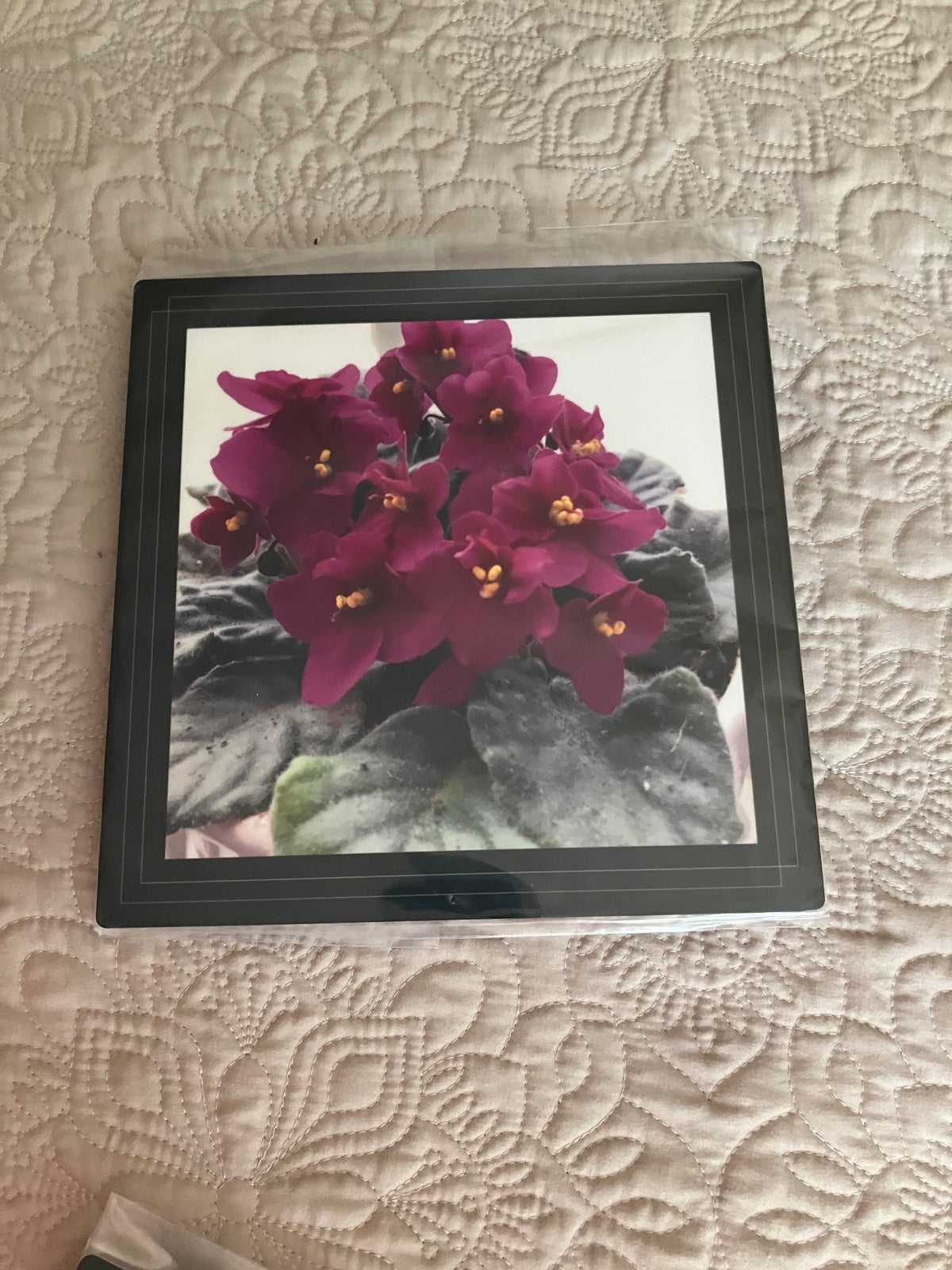 Original/durable - violet by Tonya Arnold