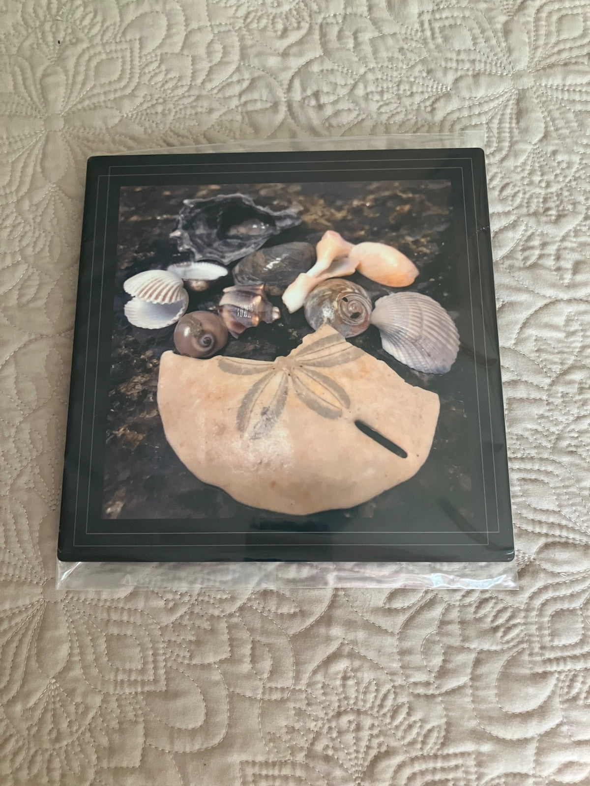 Original/durable - shells by Tonya Arnold