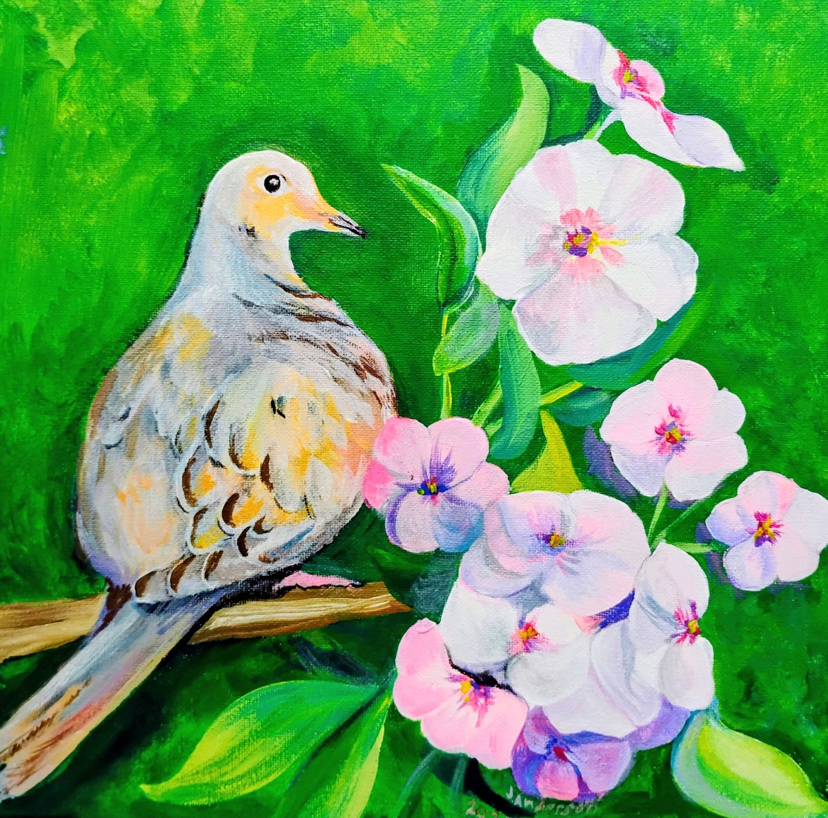 Mourning Dove and PhloxAC by Joyce Maura Anderson