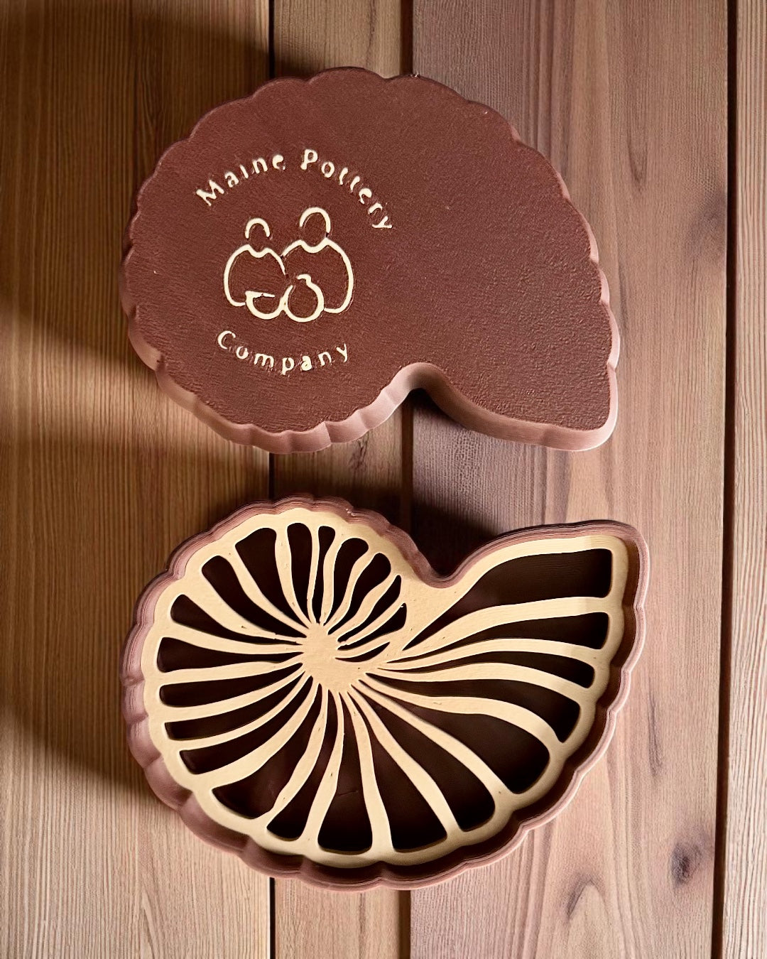 Nautilus Eco Soap Rest by This Rad Life
