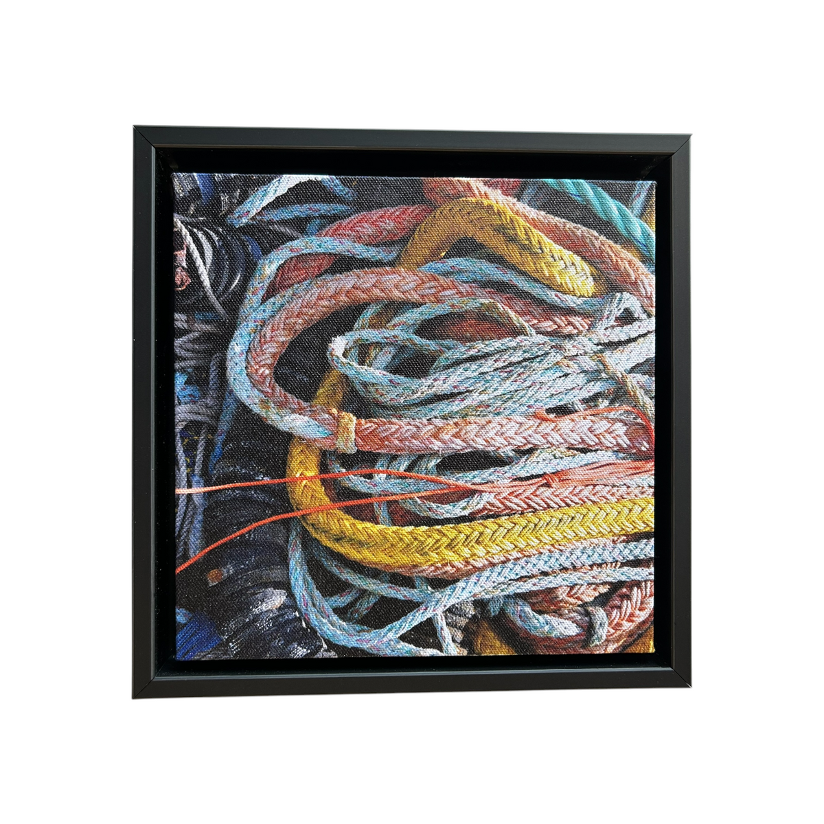 Rope Canvas Print by David Sullivan