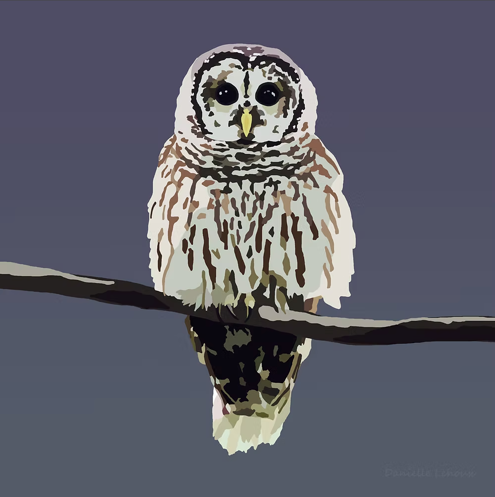 Art Coasters by Lehoux Art
