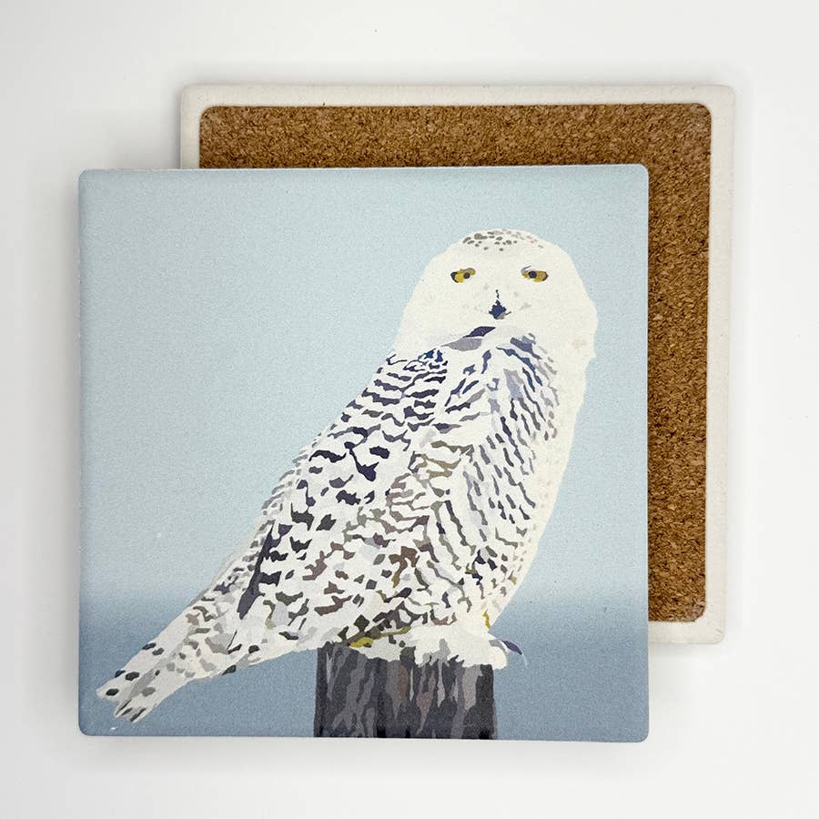 Snowy Owl Absorbent Coaster by Lehoux Art