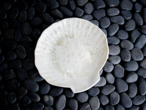 Shell Plate by Edgecomb Potters